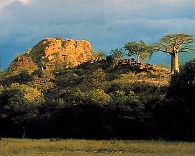 Balade en Pays Zoulou/Autotour/Afrique du Sud