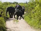 Circuit Mopaya, le fruit d&eacute;fendu / Afrique du Sud