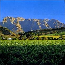 Notre Suggestion d' Hermanus � Port Elizabeth / La Route des Jardins et le Petit Karoo/ Afrique du Sud 