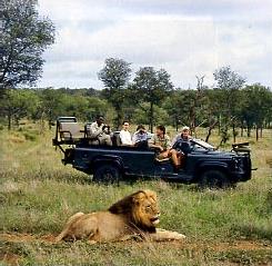 Notre Suggestion du Pays Zoulou au Swaziland/ Afrique du Sud