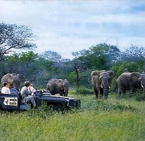 Balade en Pays Zoulou/Autotour/Afrique du Sud