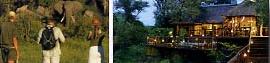  Lodge Madikwe River 4 ****/ La R�serve de Madikwe / Afrique du Sud