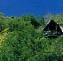  Lodge Tshukudu Bush 4 ****/ La R�serve de Madikwe / Afrique du Sud