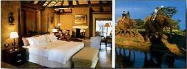 Lodge Camp Jabulani 4 ****/ Les R�serves Priv�es du Timbavati/ Afrique du Sud