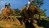 Lodge Camp Jabulani 4 ****/ Les R�serves Priv�es du Timbavati/ Afrique du Sud