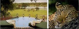  Lodge Chitwa Chitwa 5 *****/ Les R�serves Priv�es du Sabi Sand/ Afrique du Sud