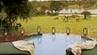 Lodge Chitwa Chitwa 5 *****/ Les R�serves Priv�es du Sabi Sand/ Afrique du Sud