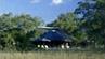 Lodge Jackalberry 4 ****/ Les R�serves Priv�es du Timbavati/ Afrique du Sud