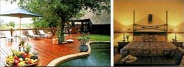  Lodge Kapama 4 ****/ Les R�serves Priv�es du Timbavati/ Afrique du Sud