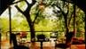  Lodge Royal Malewane 5 *****/ Les R�serves Priv�es du Timbavati/ Afrique du Sud