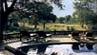 Lodge Sabi Sabi 5 *****/ Les R�serves Priv�es du Sabi Sand/ Afrique du Sud