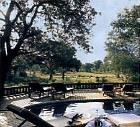 Lodge Sabi Sabi 5 *****/ Les R�serves Priv�es du Sabi Sand/ Afrique du Sud