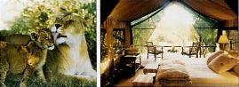 Lodge Tanda Tula 4 ****/ Les R�serves Priv�es du Timbavati/ Afrique du Sud