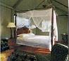 Lodge Thornybush 4 ****/ Les Réserves Privées du Timbavati/ Afrique du Sud