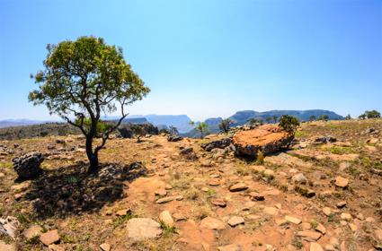 Johannesburg/ Afrique du Sud