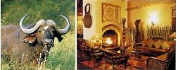 Hotel Malelane 4 ****/ Parc Kruger /Afrique du Sud