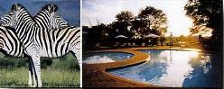 Hotel Protea Kruger Gate 3 ***/Parc Kruger/Afrique du Sud