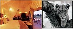 Hotel Tinga 5 *****/ Parc Kruger /Afrique du Sud