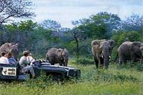 Hotels � Port Elizabeth/ Afrique du Sud