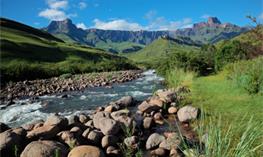 White River / Afrique du Sud