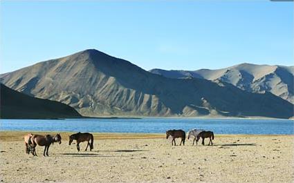 Les Circuits en Asie centrale / Bienvenue en terre mongole / Mongolie