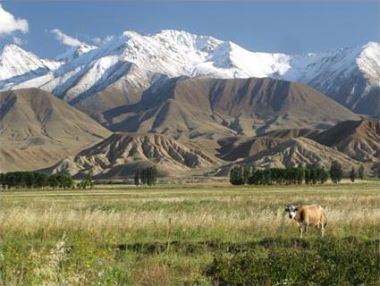 Les Circuits en Asie centrale / Des hommes et des chevaux / Kirghizstan