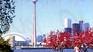 Circuit Canadavision / 8 jours de Toronto � Qu�bec / Canada