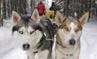 S&eacute;jours activit&eacute;s / Sensations Hivernales / Canada