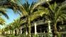 H�tel Cleopatra Palace 5 ***** / Canaries