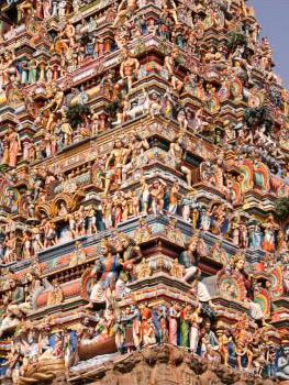 Circuit en Inde / Splendeurs de l' Inde du Sud