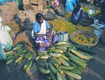 Circuit en Inde / Splendeurs de l' Inde du Sud