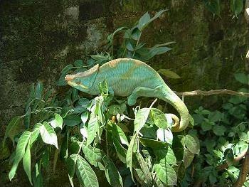 Circuit � Madagascar / Mille et une couleurs