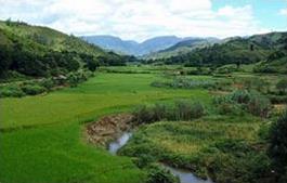 Circuit � Madagascar / Mille et une couleurs