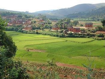 Circuit � Madagascar / Mille et une couleurs