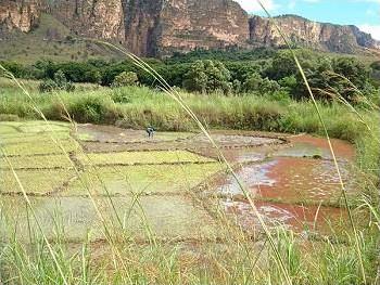 Circuit � Madagascar / Mille et une couleurs