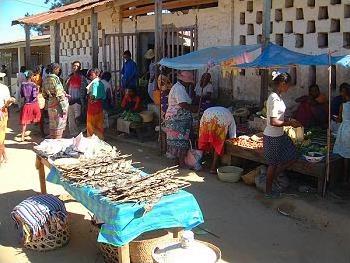 Circuit � Madagascar / Mille et une couleurs