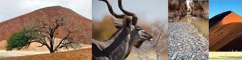 Circuit en Namibie / Entre D�sert et Safari