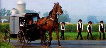 Circuit Canada - USA / Le tour des capitales / Pays Amish