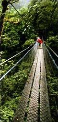 Circuit au Costa Rica / 100 % Costa Rica / Canopy tour