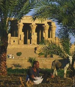 Circuit en Egypte / Ramss / Temple de Kom Ombo