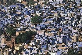 Circuit en Inde / Le Rajasthan / Jodhpur la ville bleue