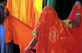 Circuit en Inde / Le Rajasthan 