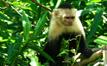 Circuit Autotour fly & drive dans le nord / Costa Rica