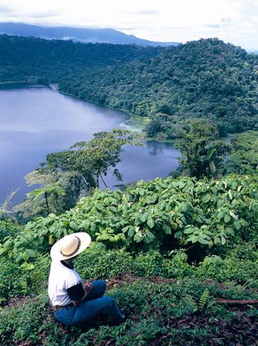 C�te Pacifique Centre et Sud / Costa Rica