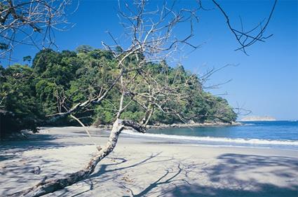Côte Pacifique Nord / Costa Rica