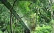 Mini Circuits Au d�part de San Jos� - La r�serve de Monteverde / Costa Rica