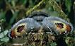 Mini Circuits Au d�part de San Jos� - La r�serve de Tortuguero / Costa Rica