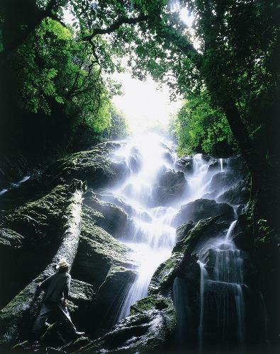 Vallée du Sud / Costa Rica