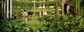 Hotel Club Melia Varadero 5 ***** / Varadero / Cuba - Hall d'entr�e