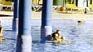 H�tel Palma Real 4 **** / Varadero / Cuba 